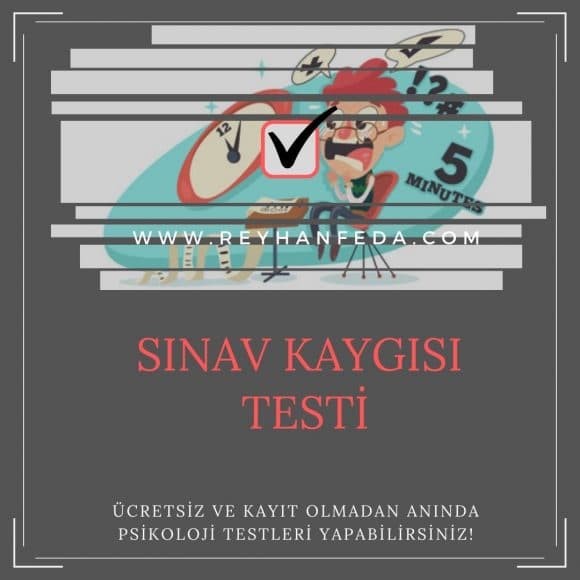 sinavkaygisitesti e1604867766675